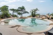 Peaceful outdoor pool with a smooth, flowing design and stone accents, surrounded by trees and rocky terrain, offering a serene view of a body of water in the background and sky.