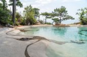 Outdoor pool with smooth pebble and stone details on the deck, surrounded by lush greenery and trees.