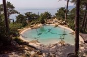 View of pool with organic shapes and stone accents, surrounded by trees and overlooking a body of water